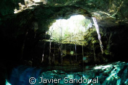 Cenote Sugar ball in Quintana Roo Mexico same cave sistem... by Javier Sandoval 